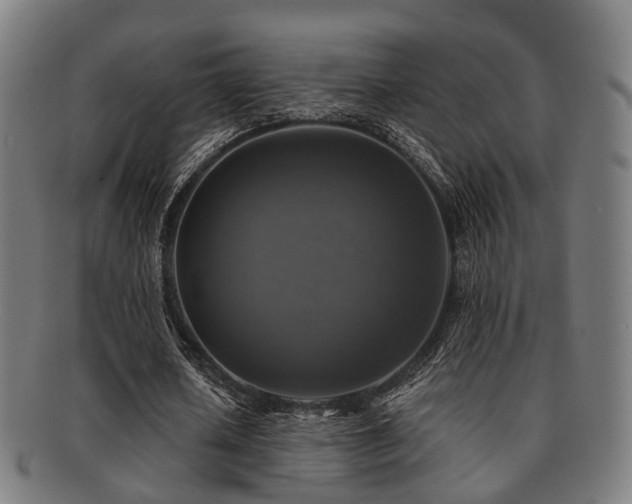 X0000091890626200709051344