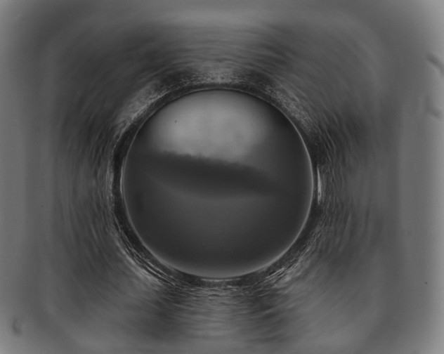 X0000091890627200709051344