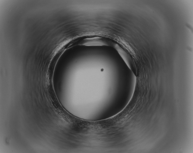 X0000091890628200709051344