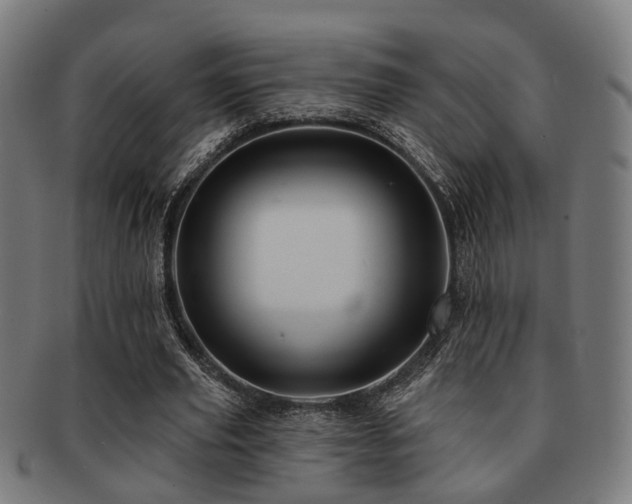 X0000091890629200709051344