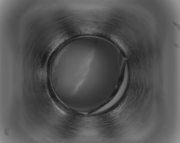 X0000091890630200709051344