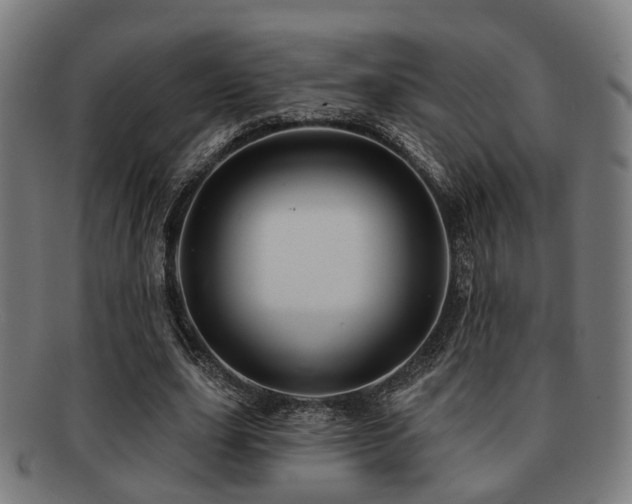 X0000091890631200709051344