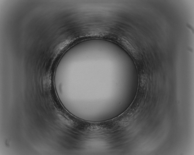 X0000091890632200709051344