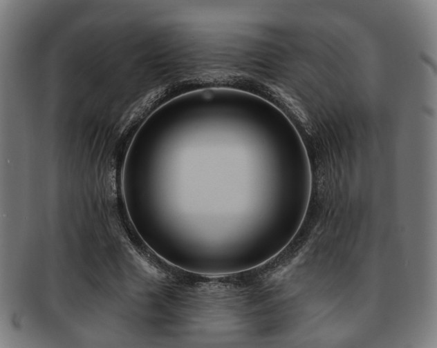 X0000091890633200709051344