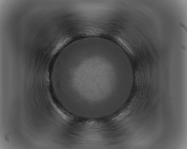 X0000091890634200709051344