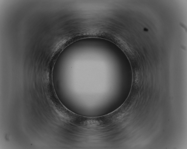 X0000091890636200709051344
