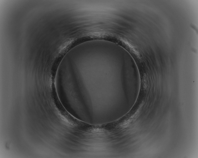 X0000091890637200709051344