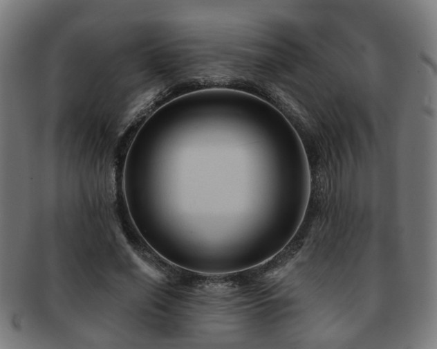 X0000091890638200709051344