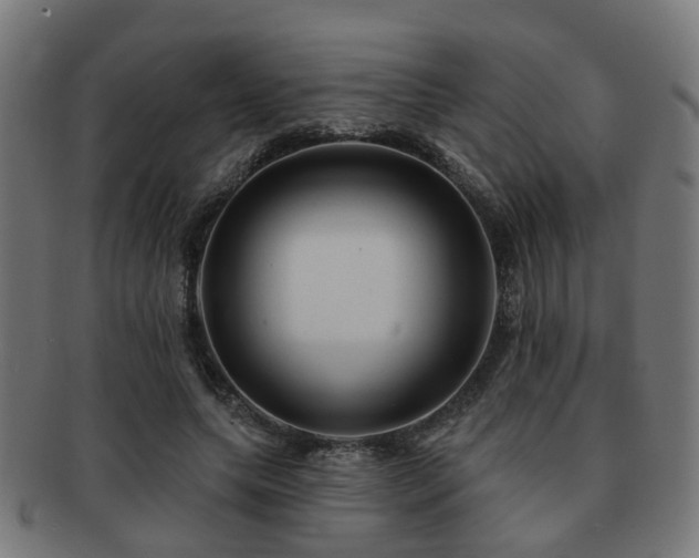 X0000091890639200709051344