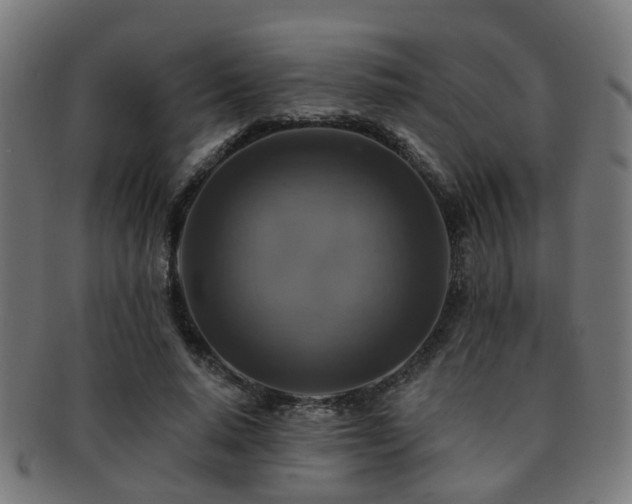 X0000091890640200709051344