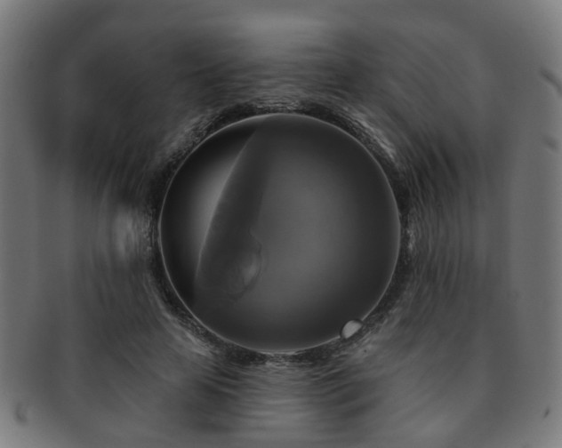 X0000091890641200709051344