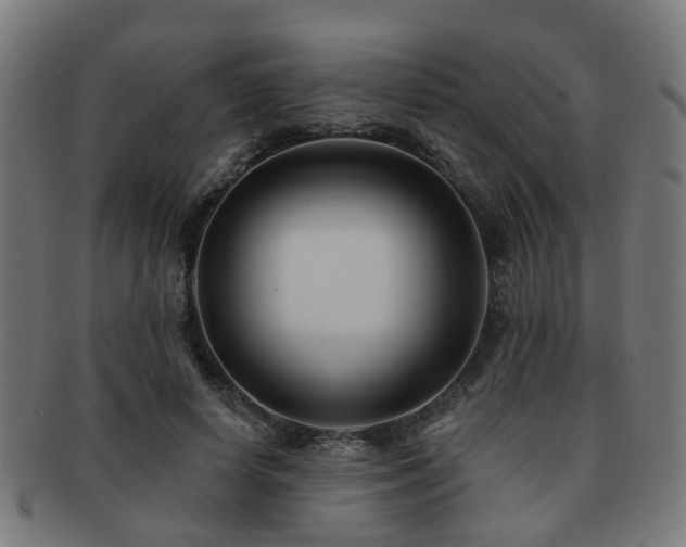 X0000091890642200709051344