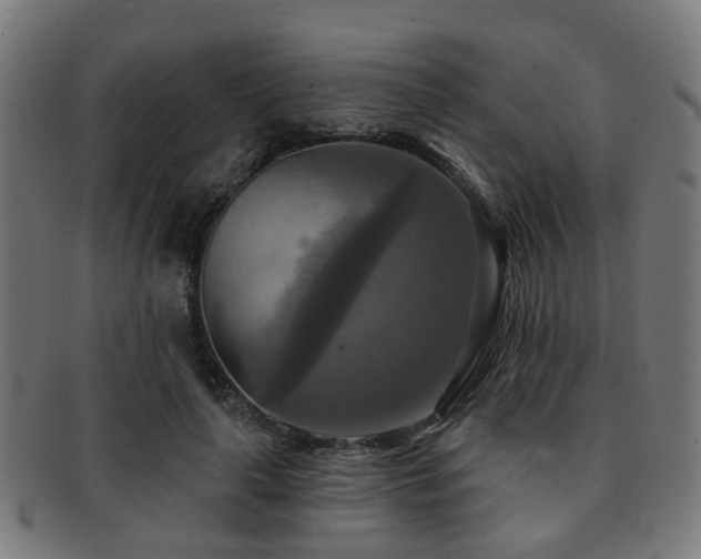 X0000091890643200709051344