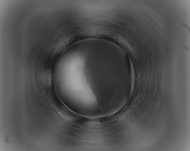 X0000091890644200709051344