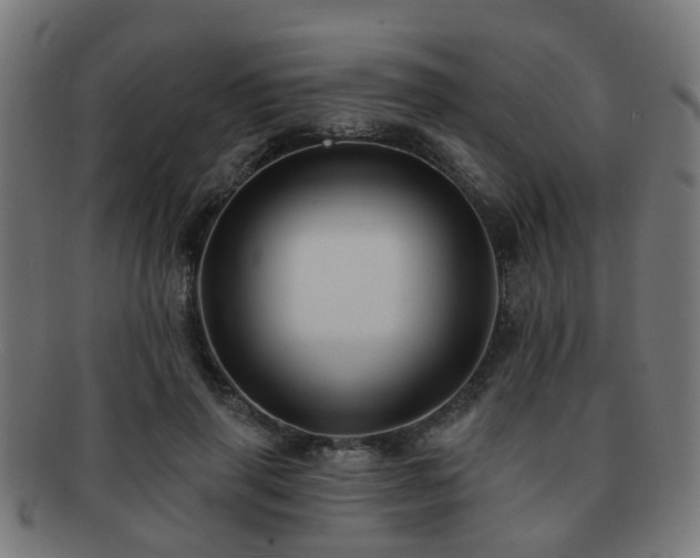 X0000091890645200709051344