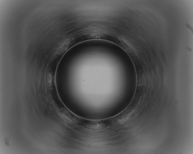 X0000091890646200709051344