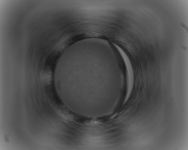 X0000091890647200709051344
