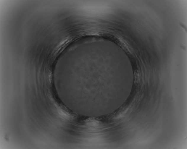X0000091890648200709051344