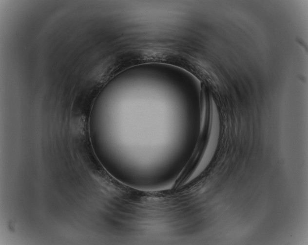 X0000091890649200709051344