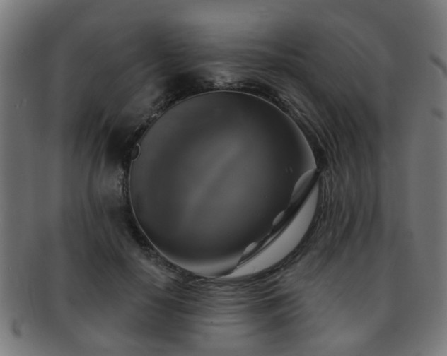 X0000091890650200709051344
