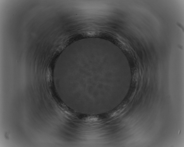 X0000091890651200709051344