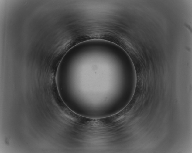 X0000091890652200709051344