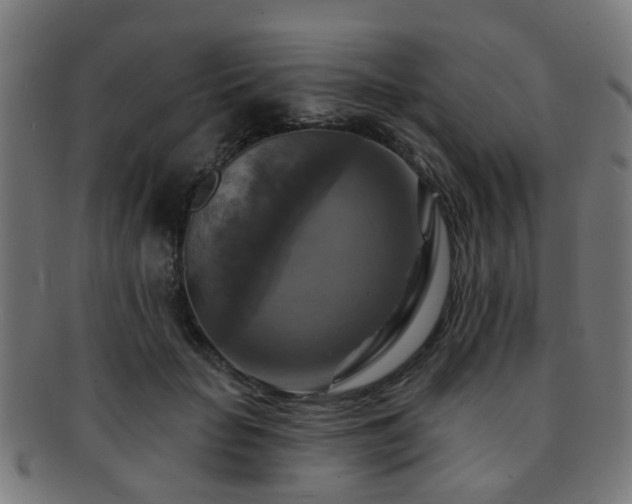 X0000091890653200709051344