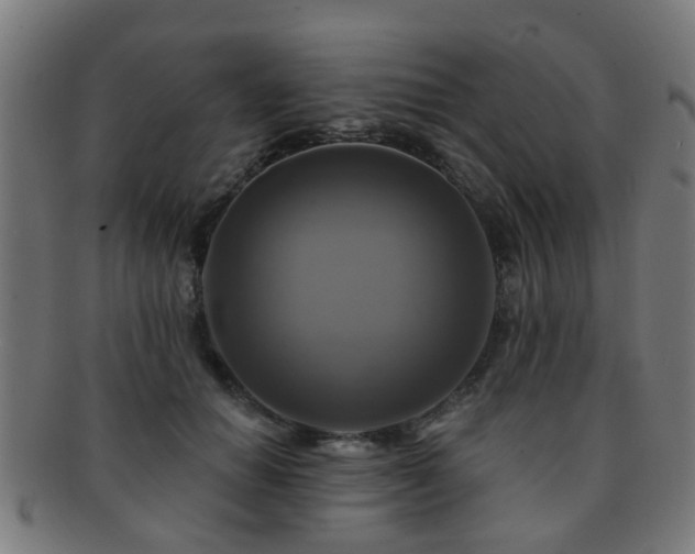 X0000091890654200709051344