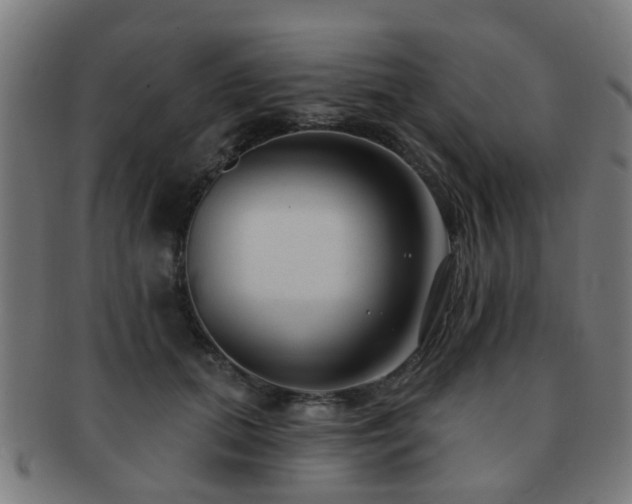 X0000091890655200709051344