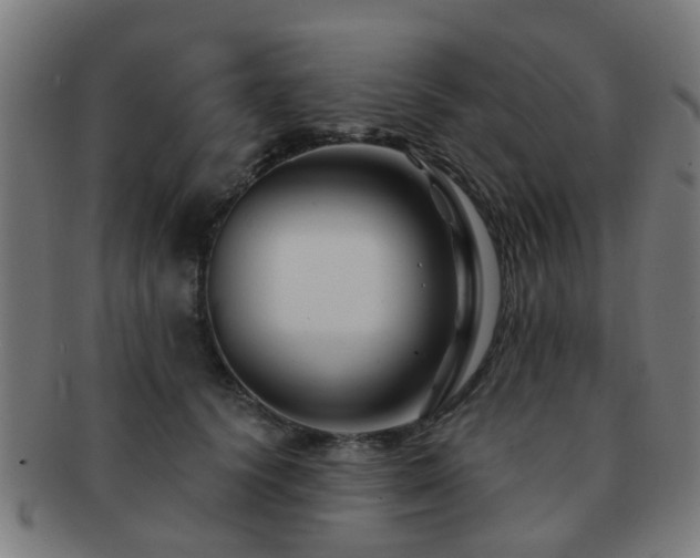 X0000091890656200709051344