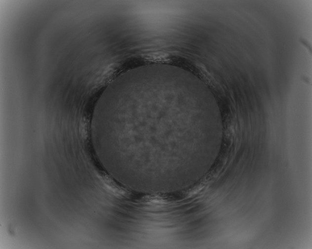 X0000091890658200709051344