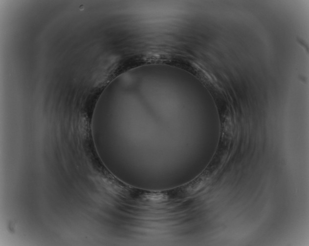 X0000091890659200709051344