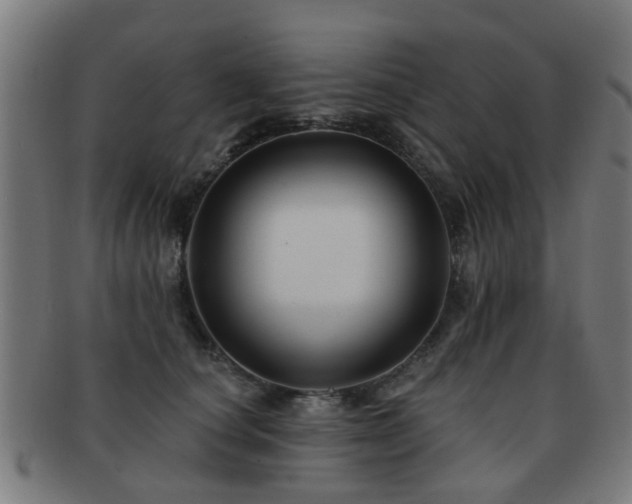 X0000091890660200709051344