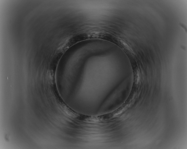 X0000091890661200709051344