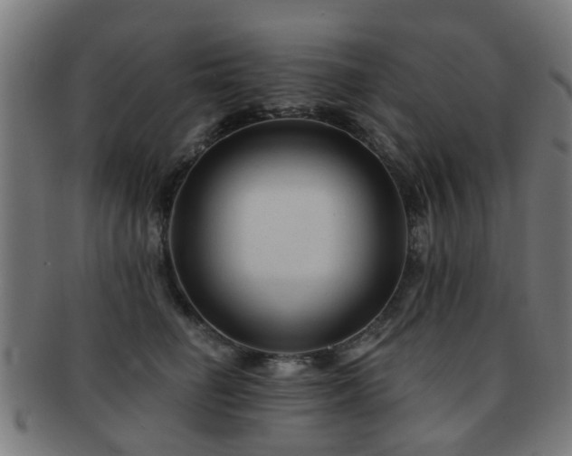 X0000091890662200709051344