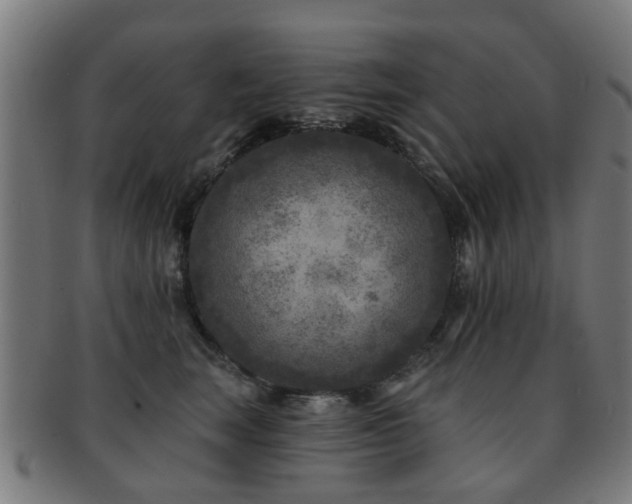 X0000091890663200709051344