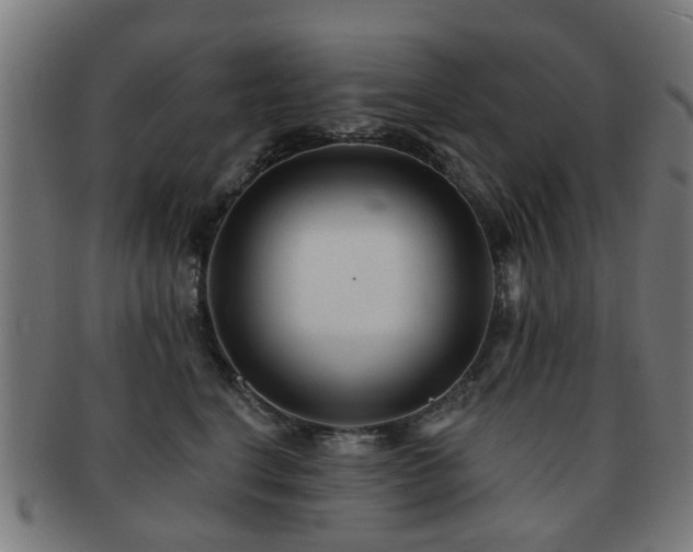 X0000091890664200709051344