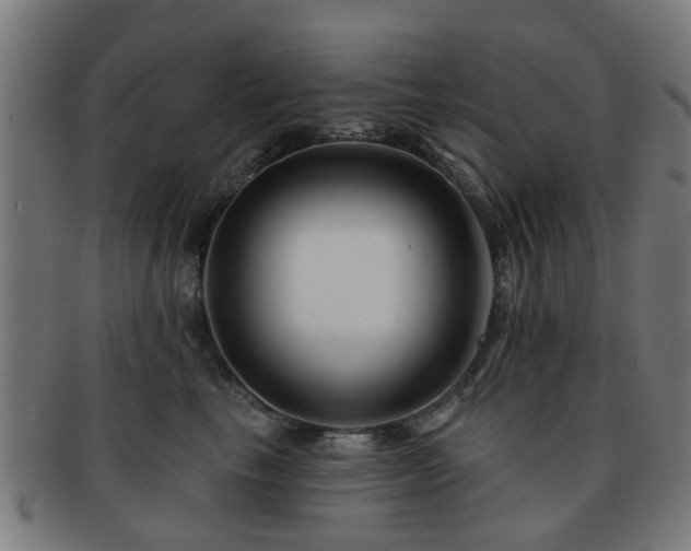 X0000091890665200709051344