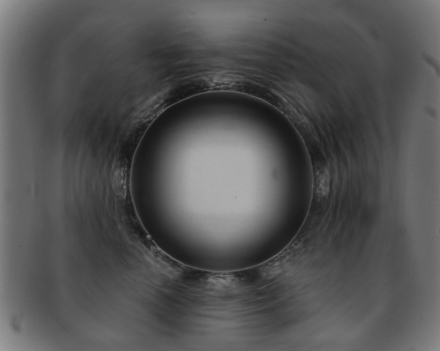 X0000091890666200709051344