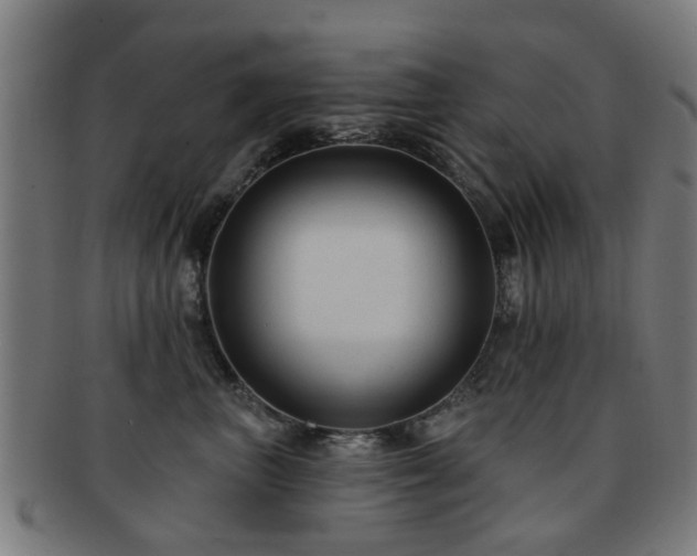 X0000091890667200709051344