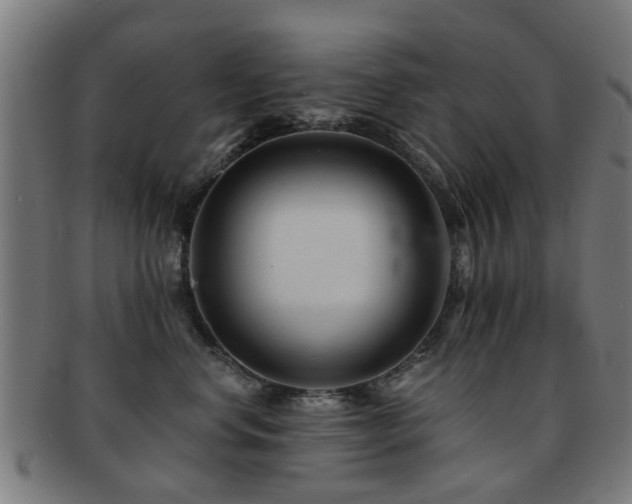 X0000091890668200709051344