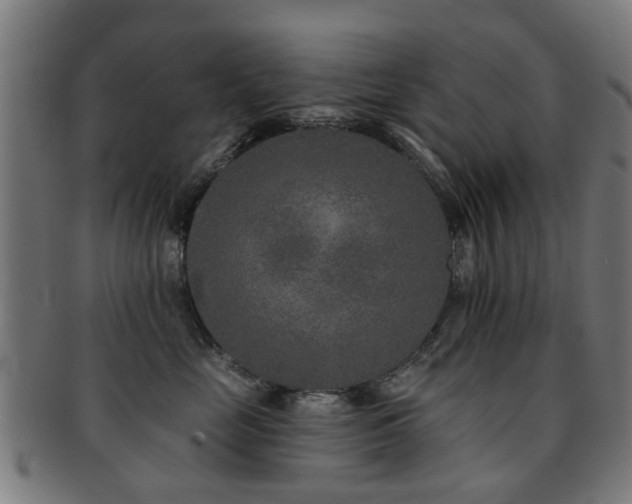 X0000091890669200709051344