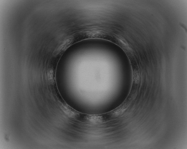 X0000091890670200709051344