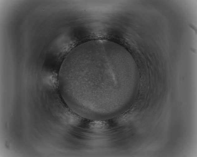 X0000091890672200709051344