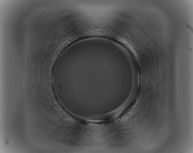 X0000091890673200709051344