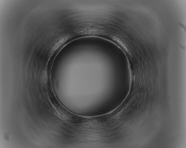 X0000091890674200709051344