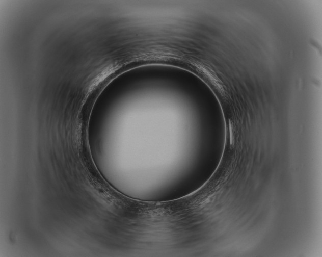 X0000091890675200709051344