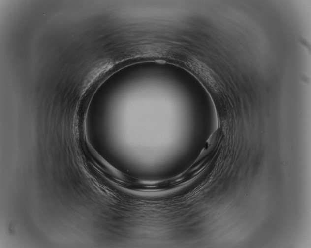 X0000091890676200709051344