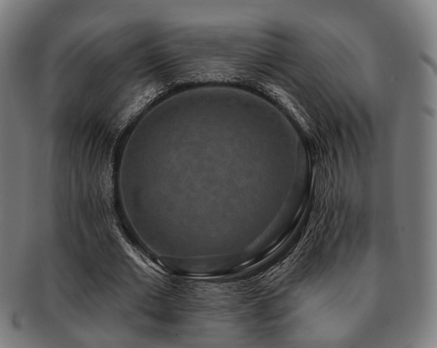 X0000091890677200709051344