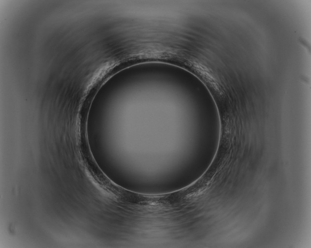 X0000091890678200709051344